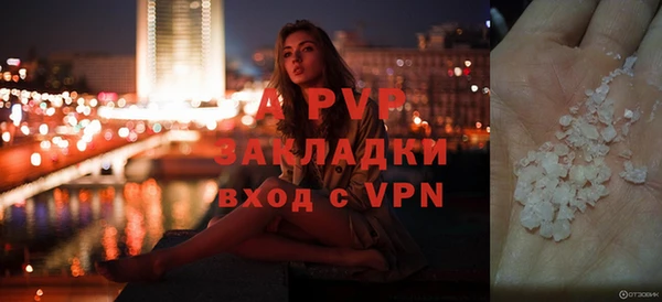 PSILOCYBIN Липки