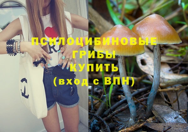 PSILOCYBIN Липки