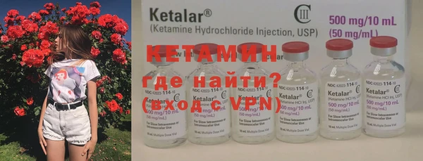 твердый Гатчина